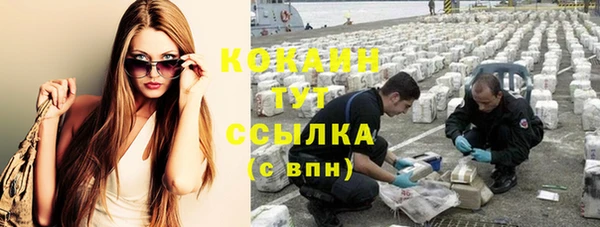 spice Алексин
