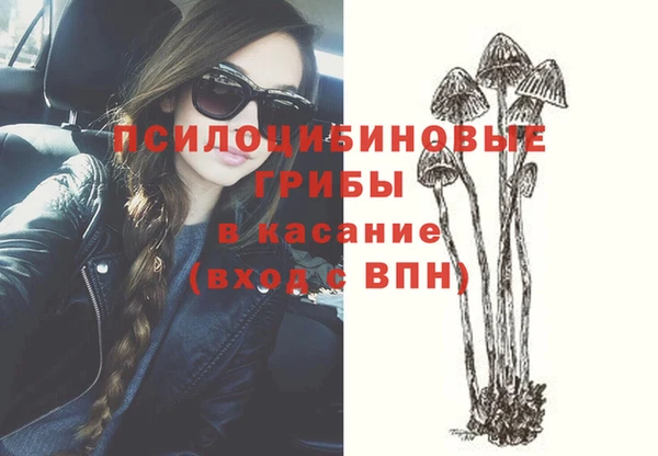 гашик Алзамай