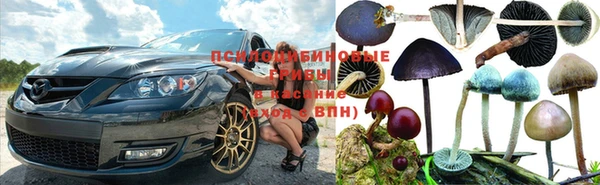 гашик Алзамай
