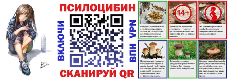 Псилоцибиновые грибы мицелий  где купить наркоту  Данилов 